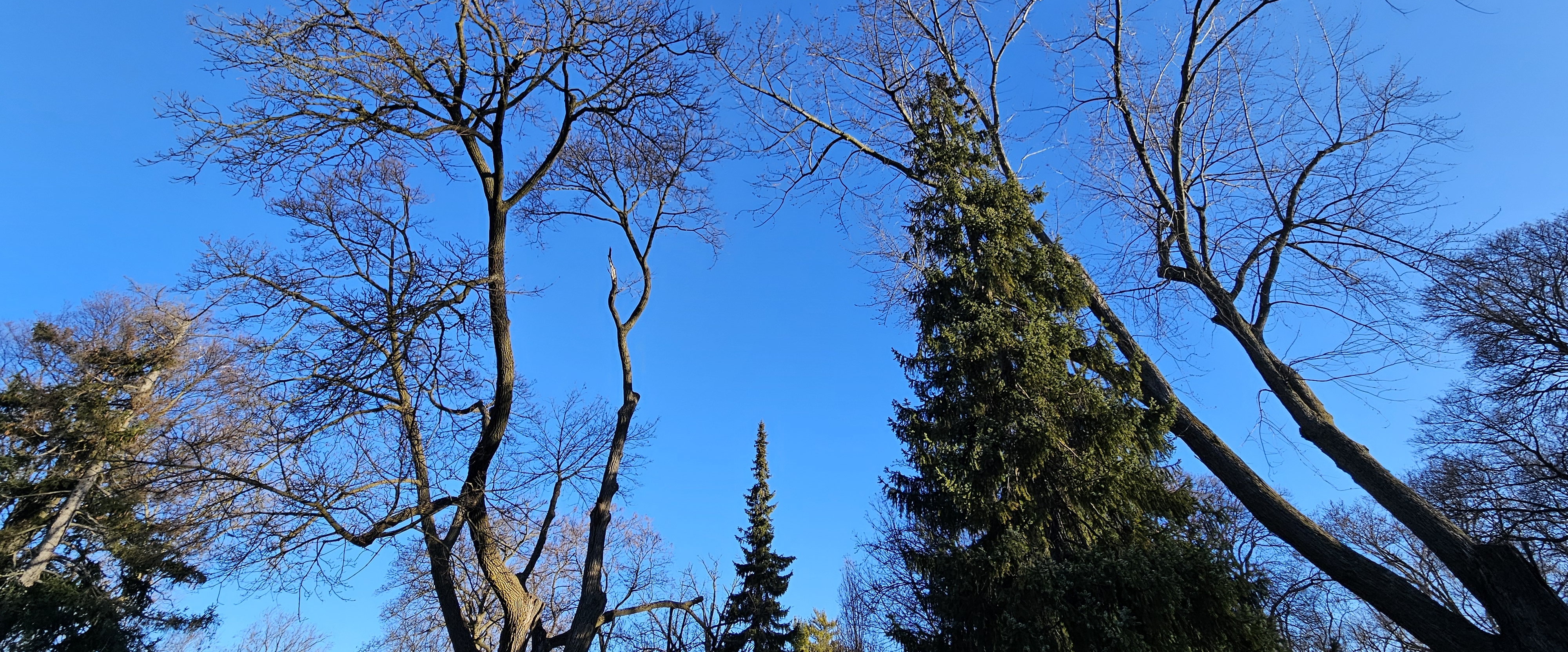 🚶‍♀️BRISK WALKS🚶‍♂️ banner