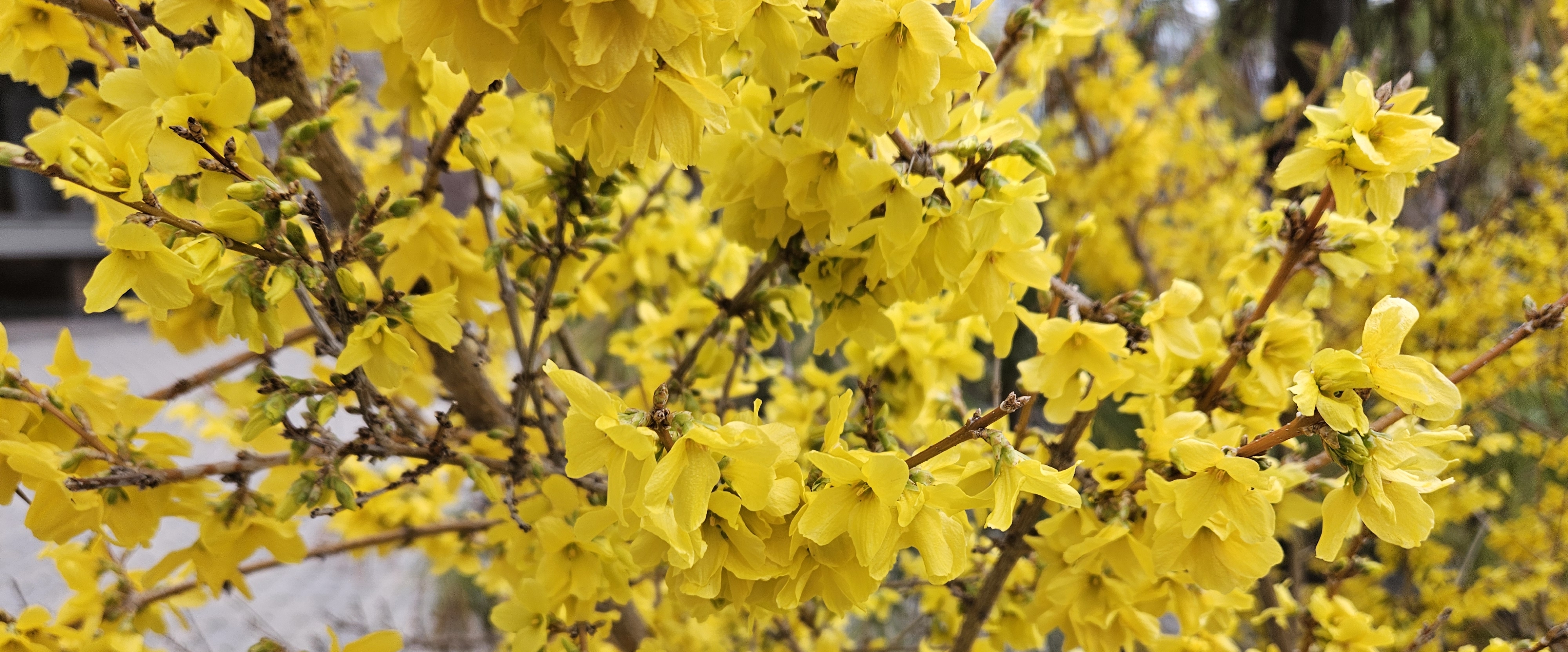 💕SMALL TEAM 💕 banner