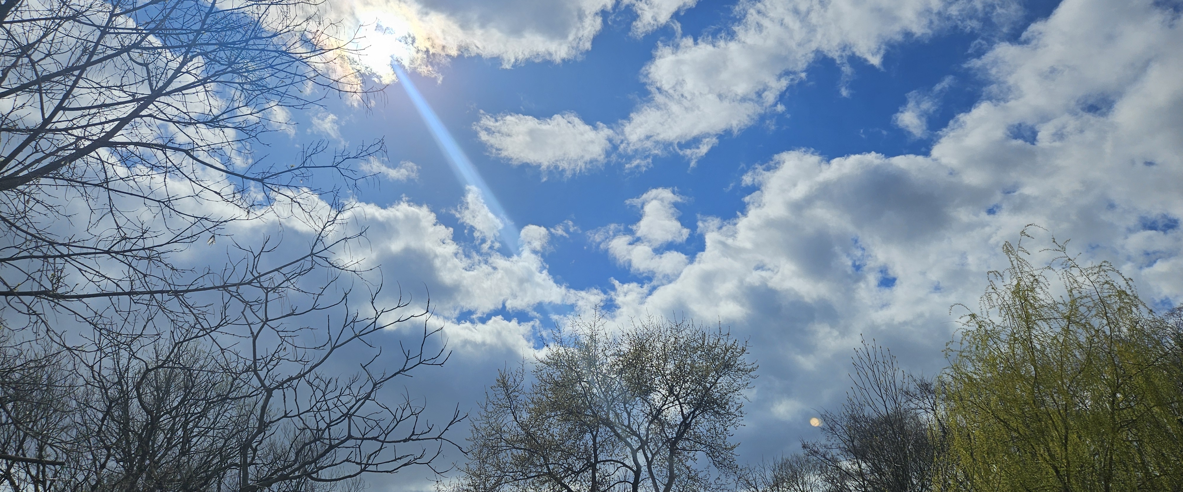 ๐ BEAUTIFUL SPRINGTIME ๐ banner