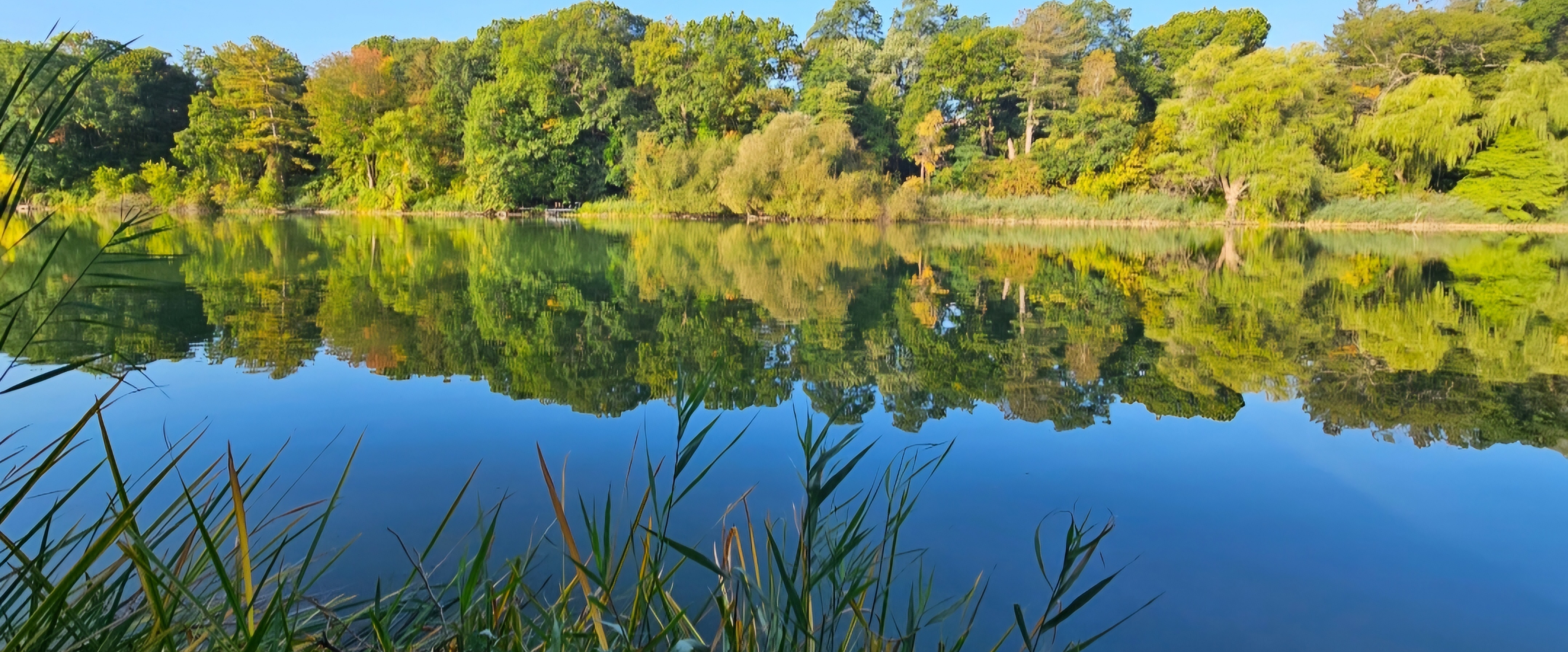 🏞RIVERSIDE 🏞 banner