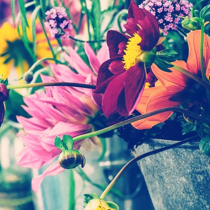 Mother & Daughters 🌻🐝🐞 logo