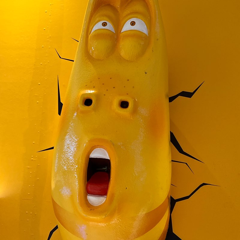 2024 活力健走 logo