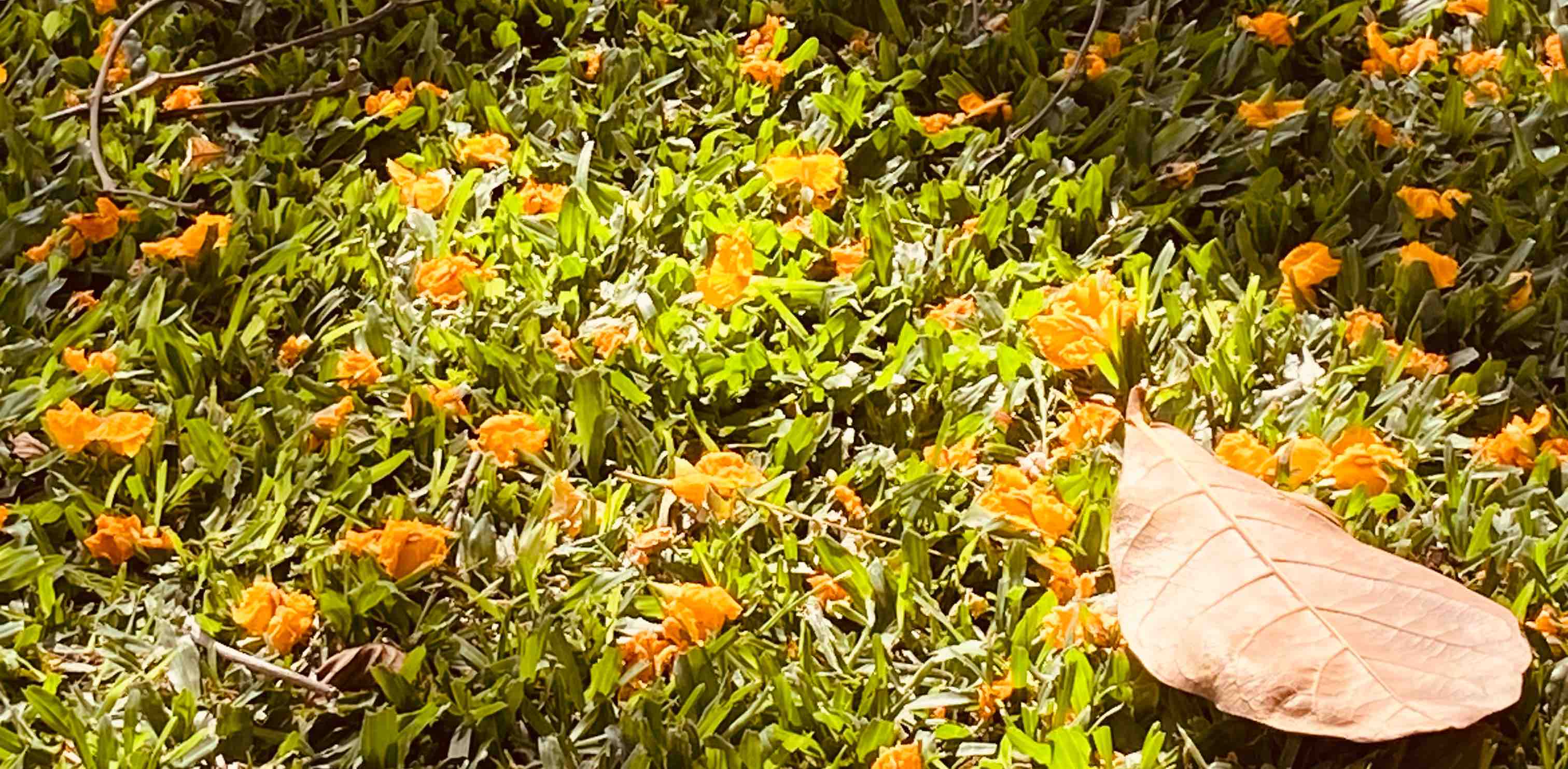 Consistency Challenge banner