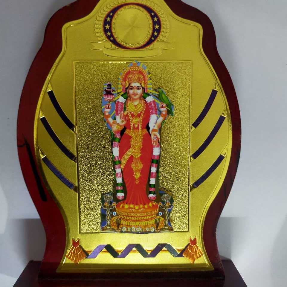 NRIVA-Raleigh Chapter logo