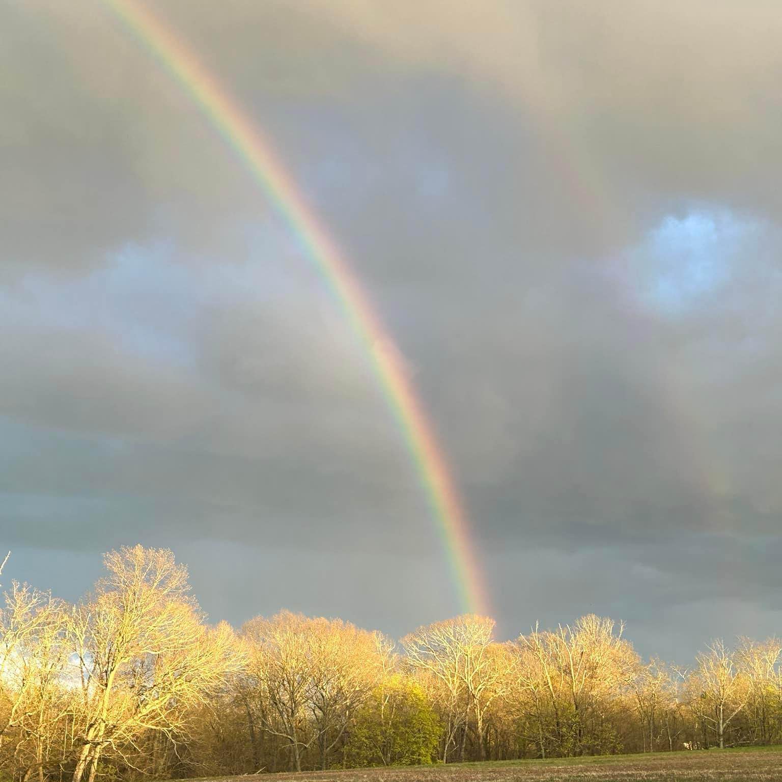 Fitness 100 mile challenge logo