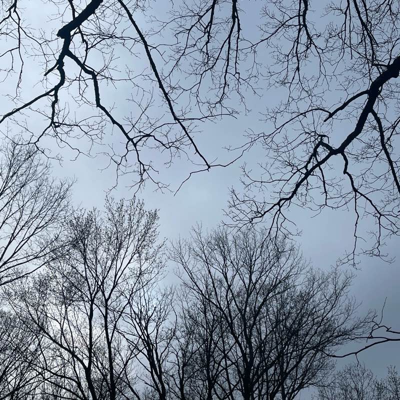 Hiking & walking — beginners logo