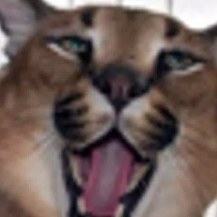 Olympic champions logo