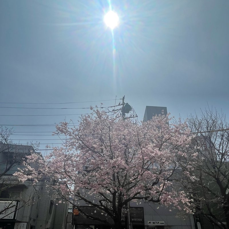 ユーと1万歩歩こう logo