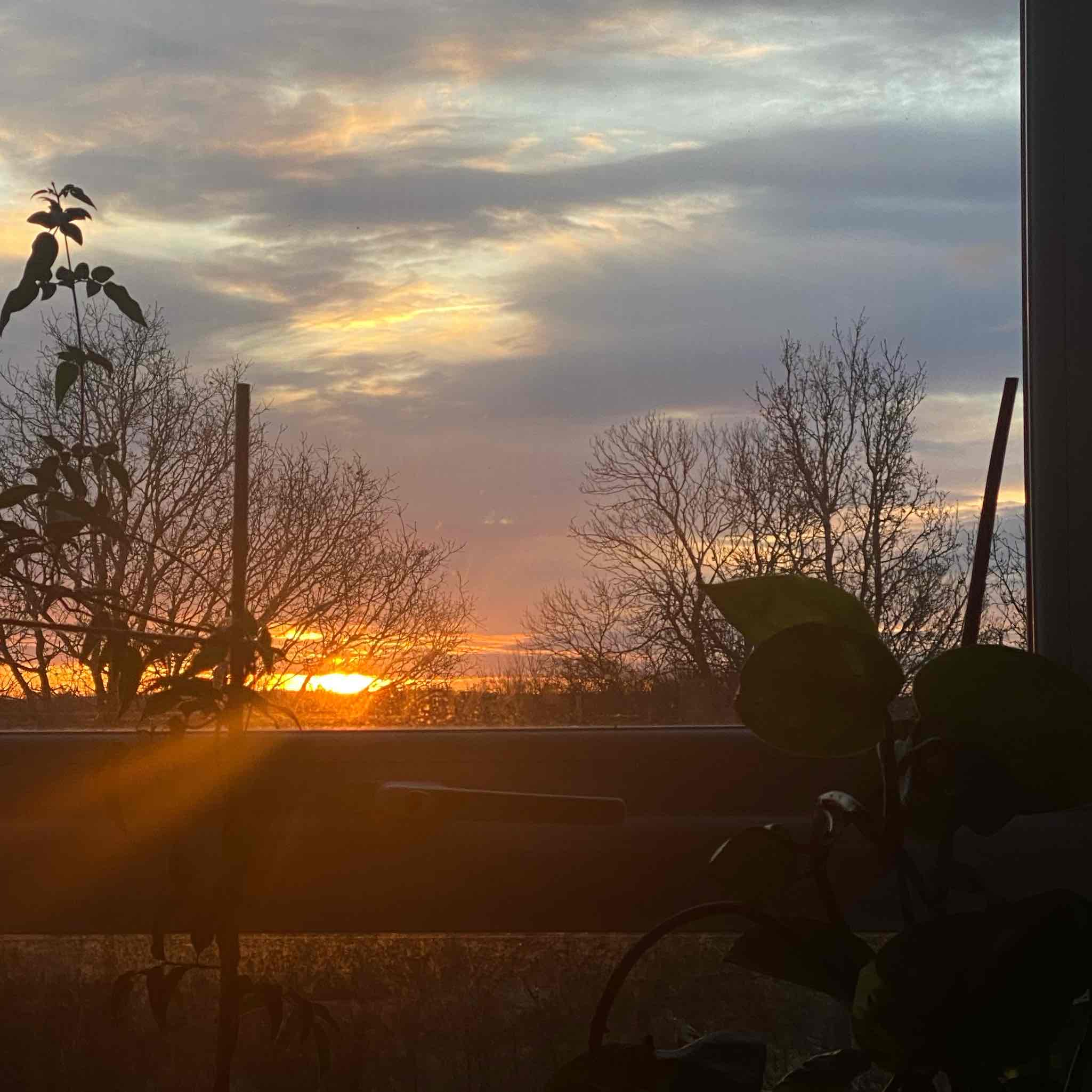 Steps Challenge logo