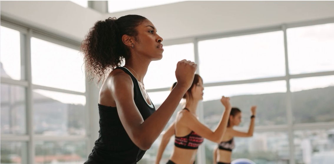 Shred Sisters banner