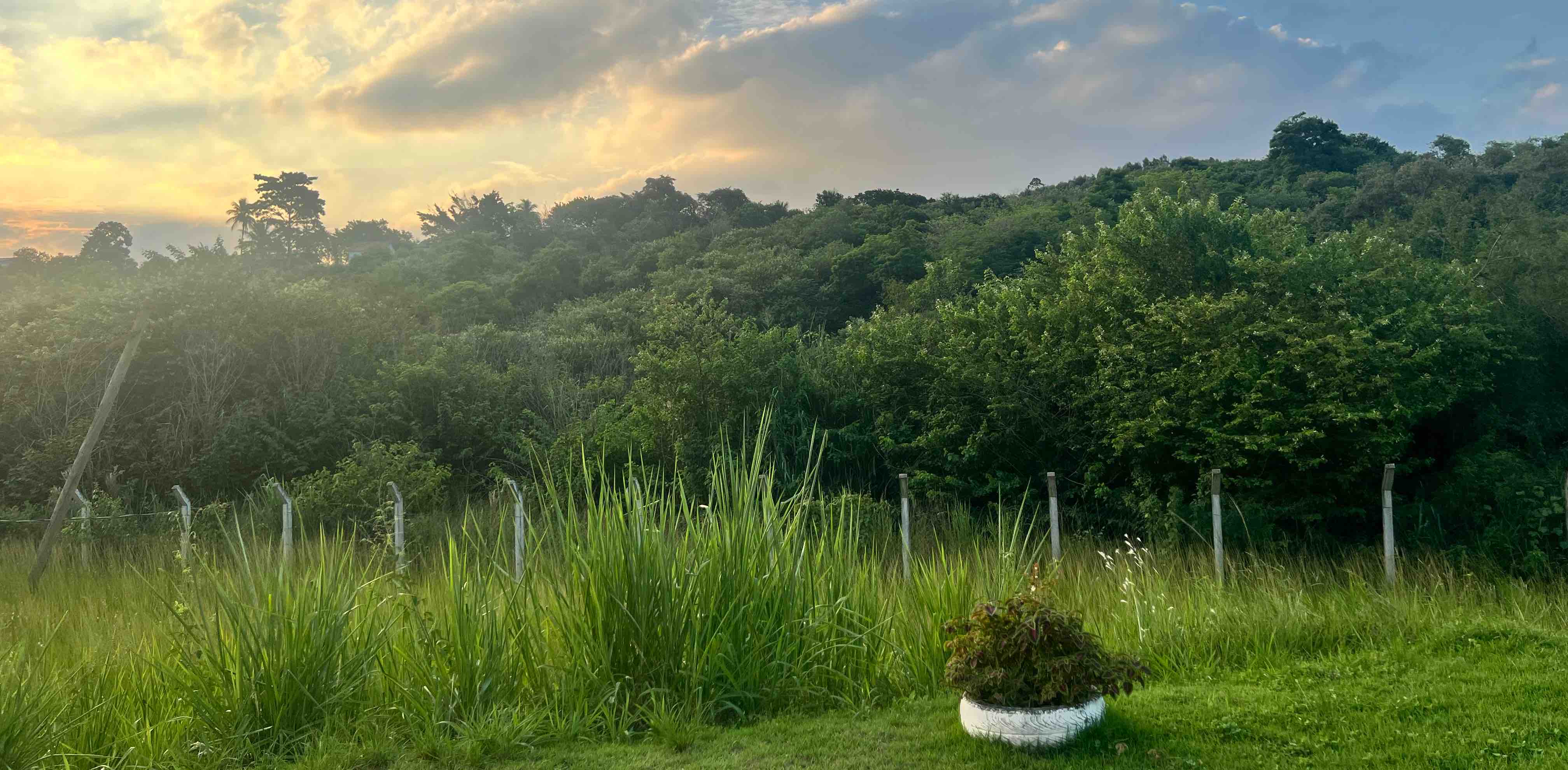 nível iniciante banner