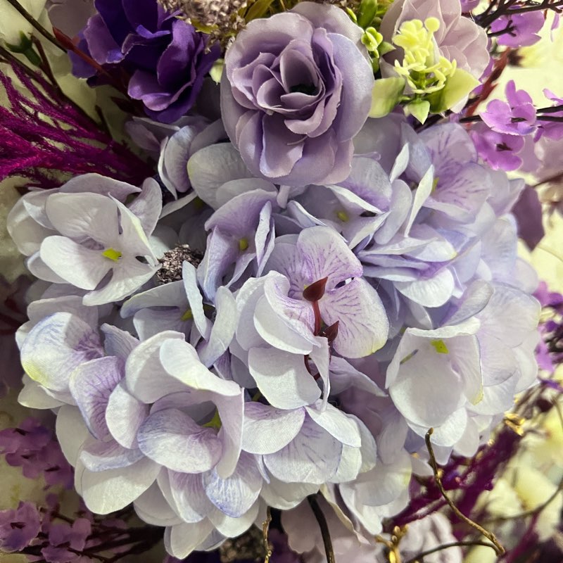 nível iniciante logo