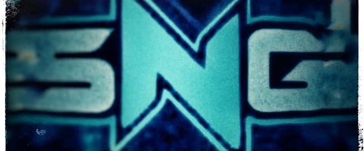SNG96 banner