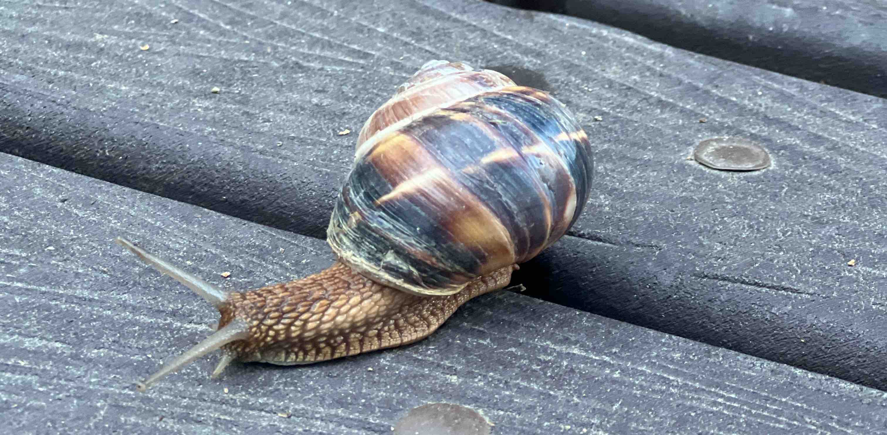 Ходим вместе 👀 banner