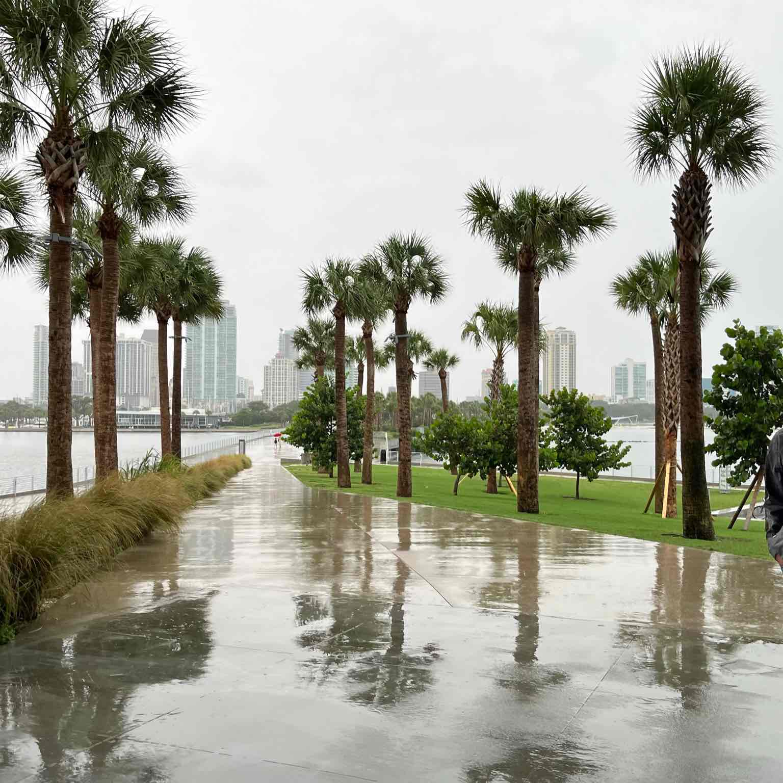 Walking challenge logo