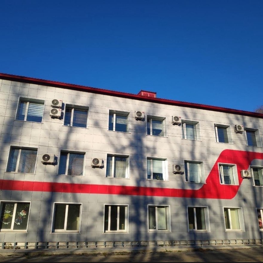 ДВОСТ ДМС logo