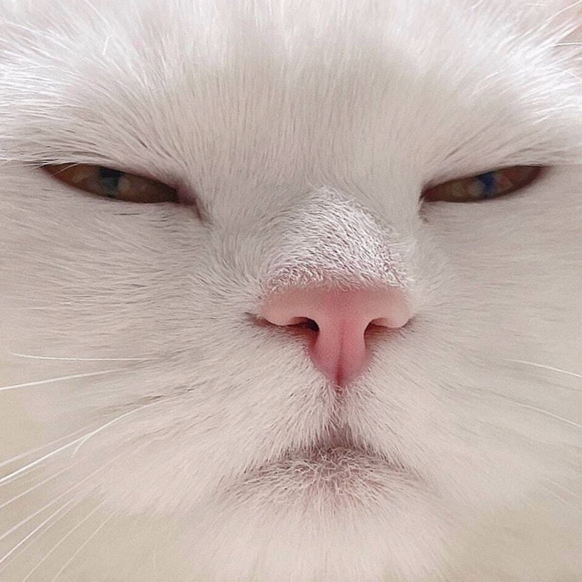 Спортсмены logo