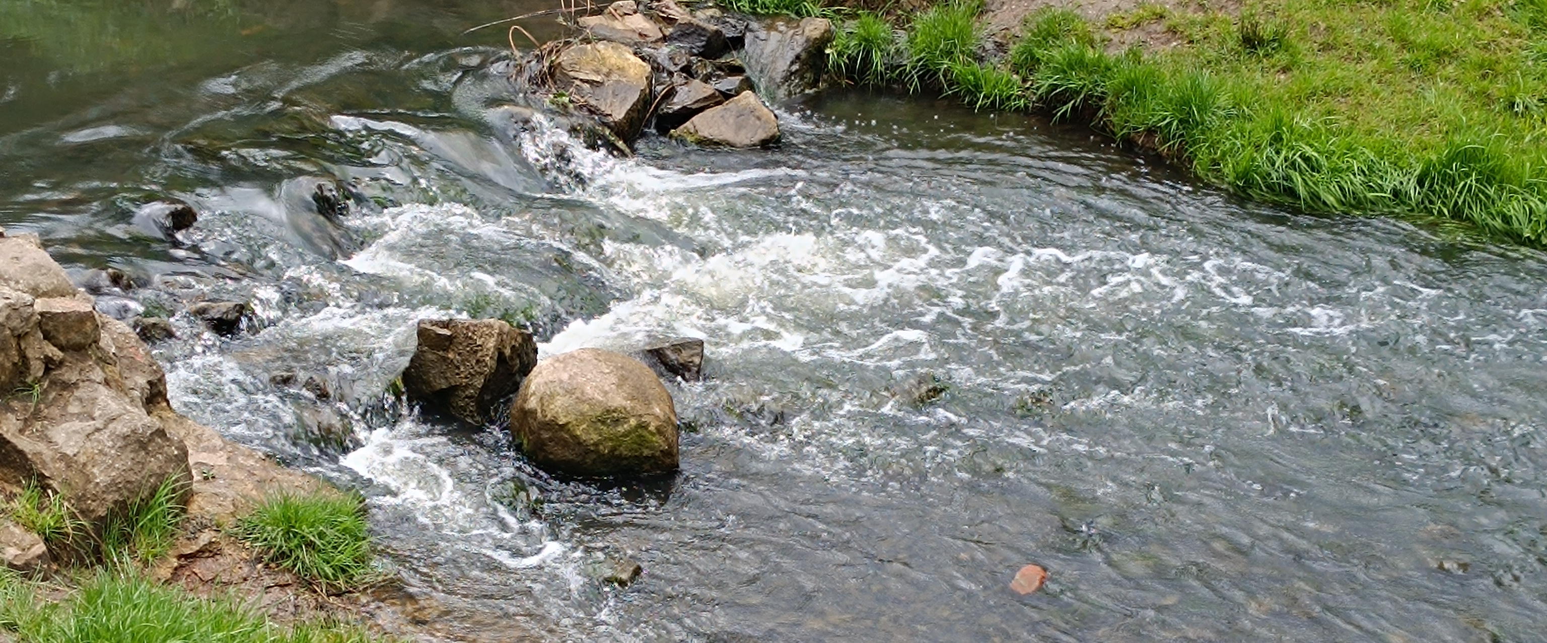 Neubrandenburg Polska banner