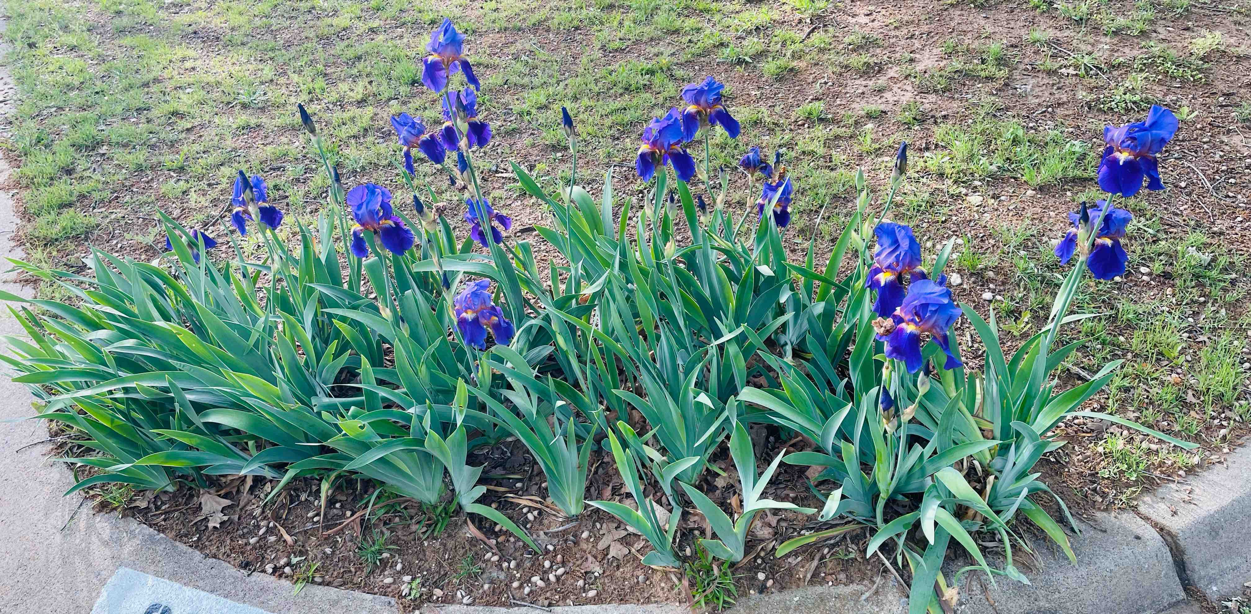 Healthy Walk 10k Daily banner