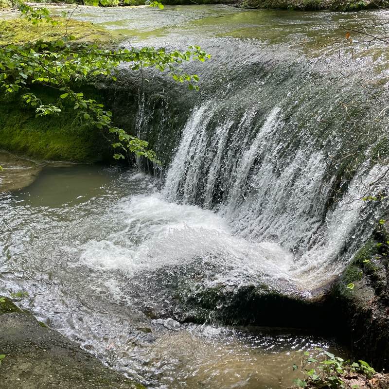 Le groupe de Tanguy logo