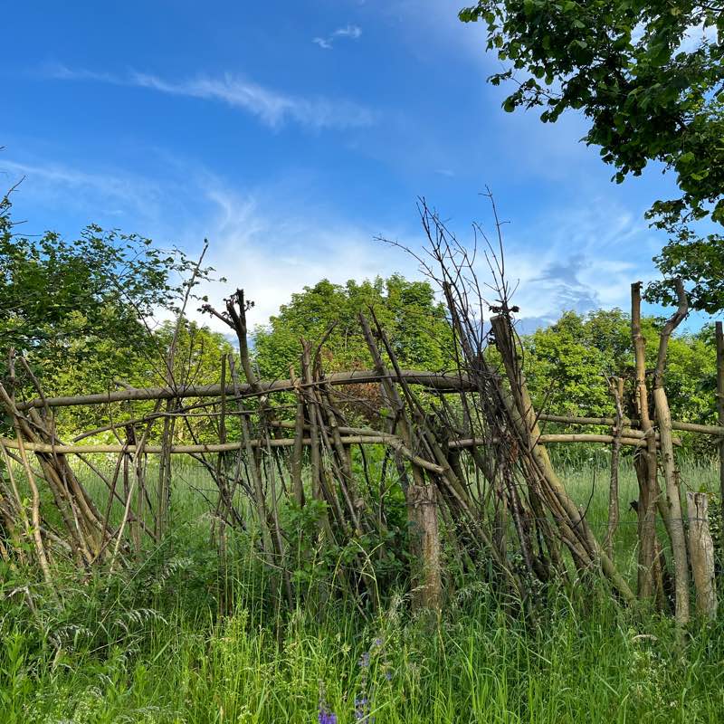 Freunde von hexi logo