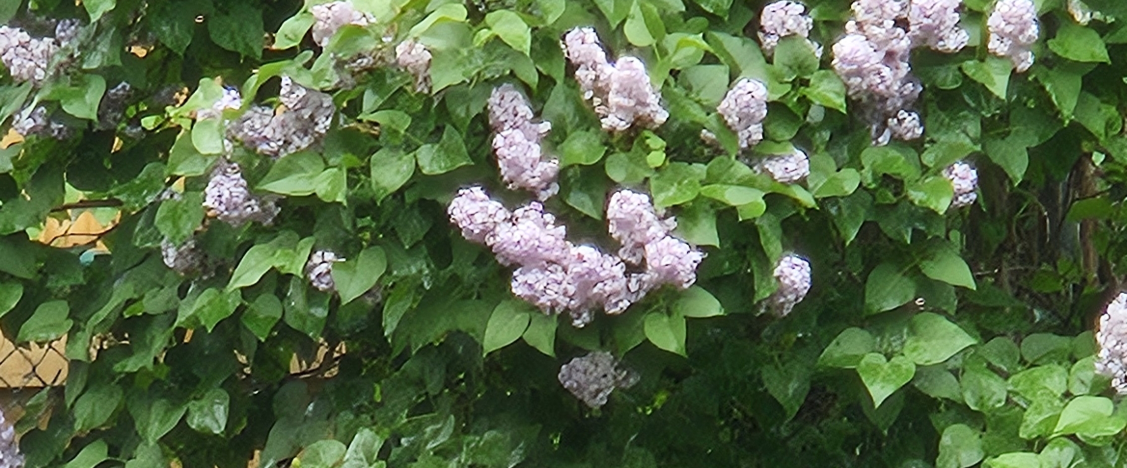 ❤️LET'S WALK TOGETHER❤️ banner