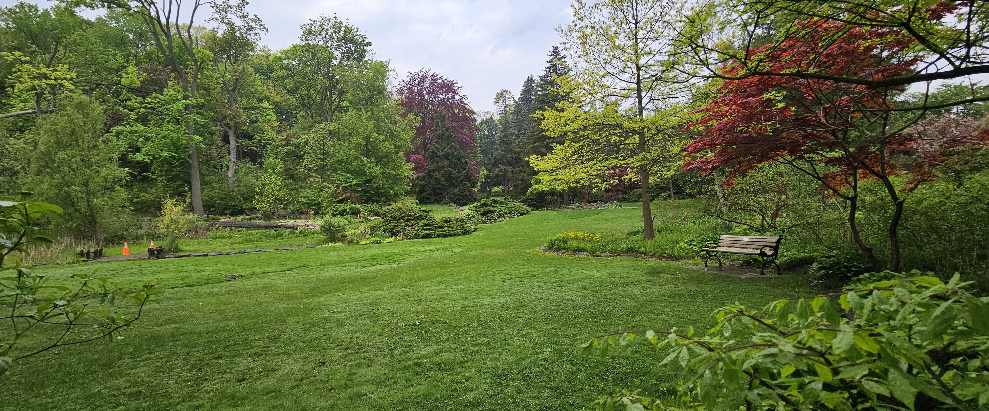 🐦🪻WALKING TOGETHER🪻🐦 banner