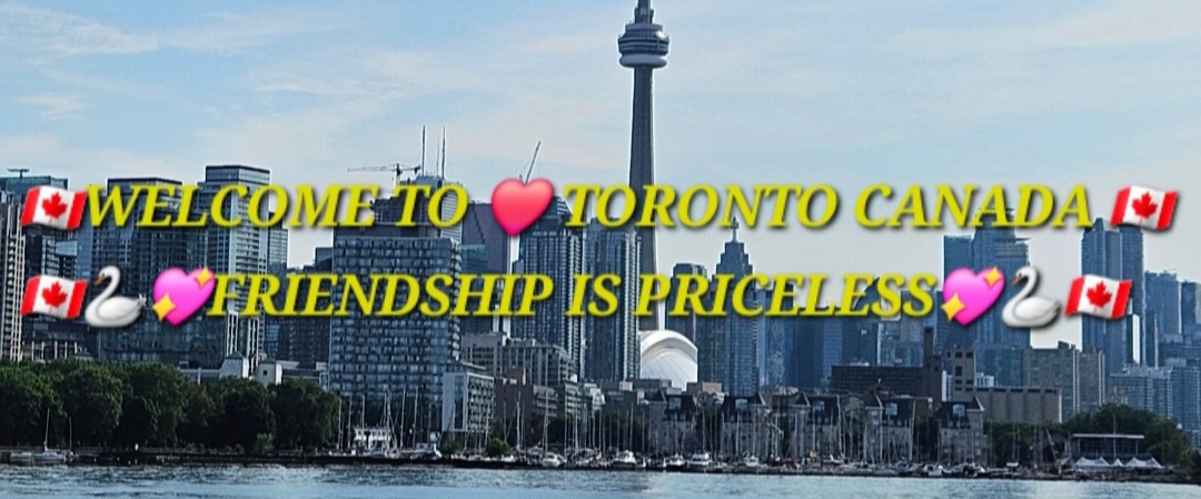 💖FRIENDSHIP IS PRICELESS💖 banner