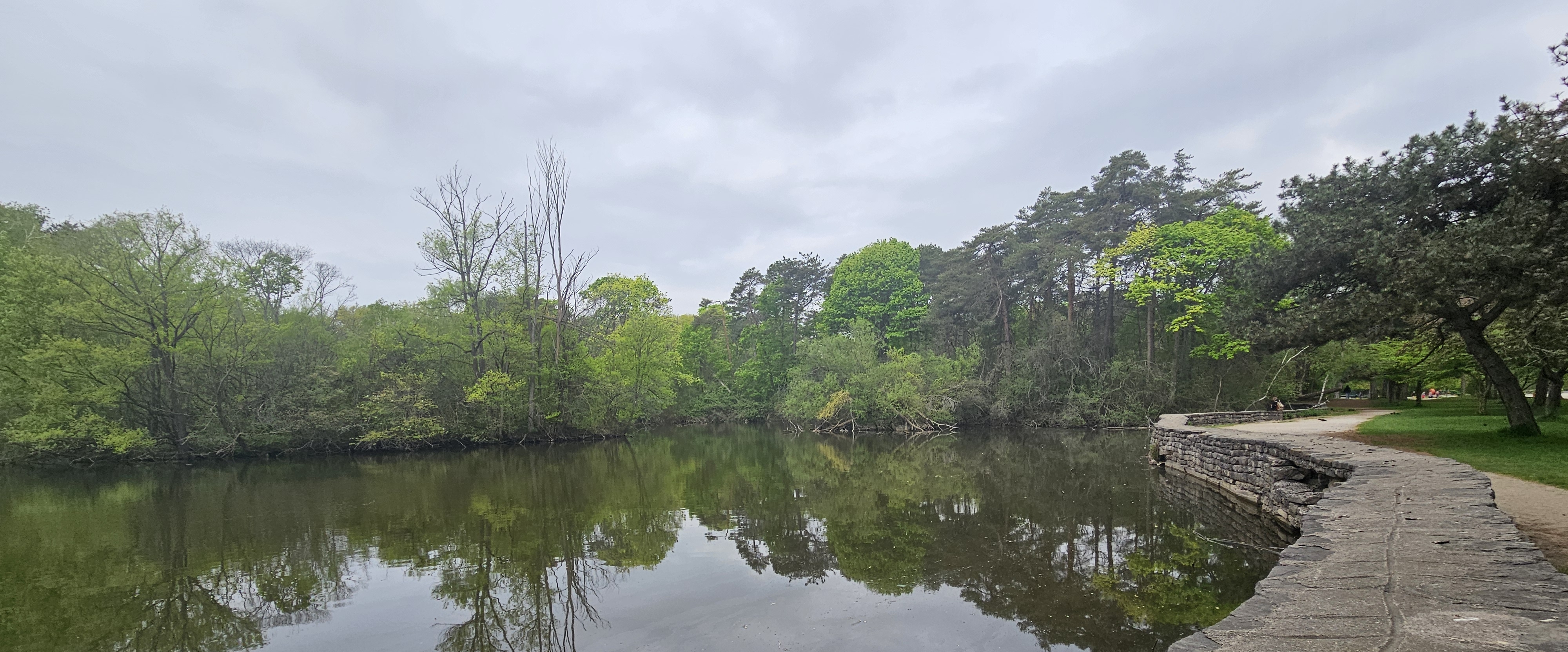 🌿🌾BE HEALTHY🌾🌿 banner