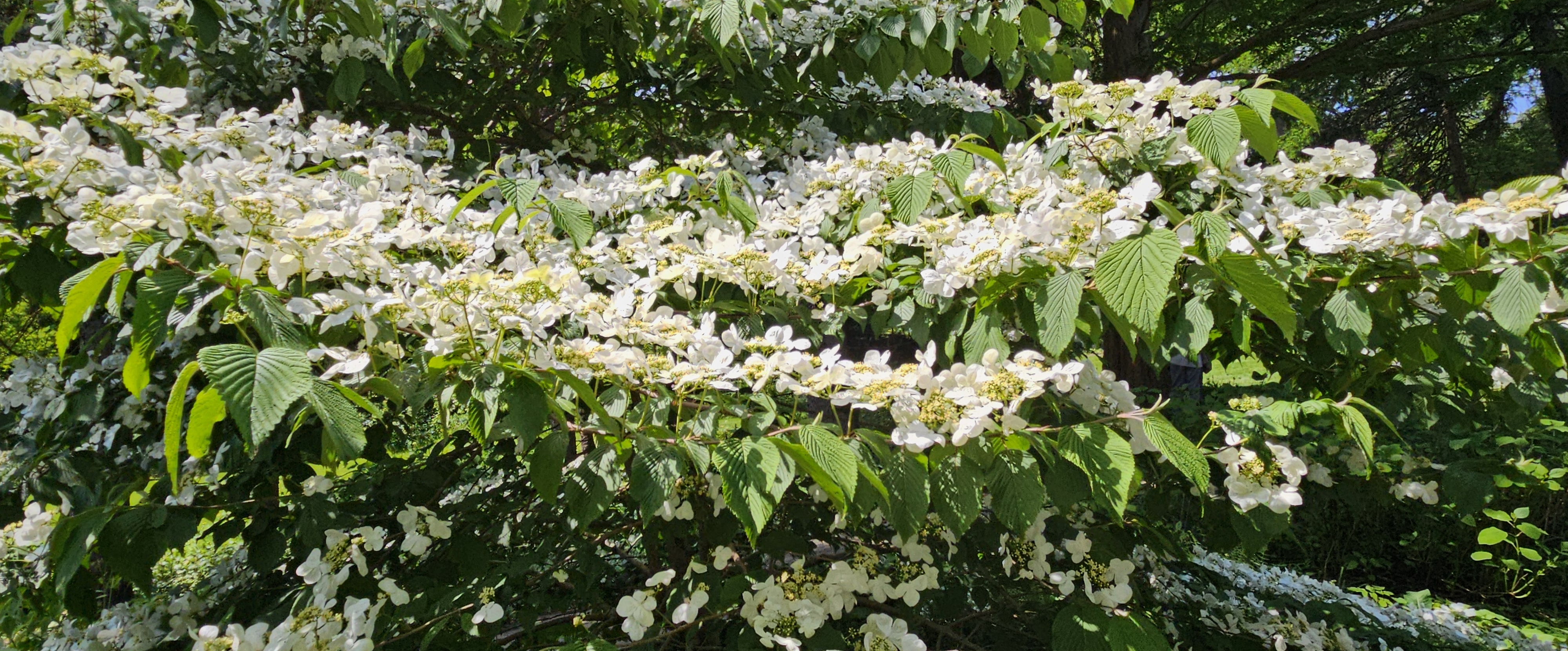 😍BEAUTIFUL  MIND😍 banner