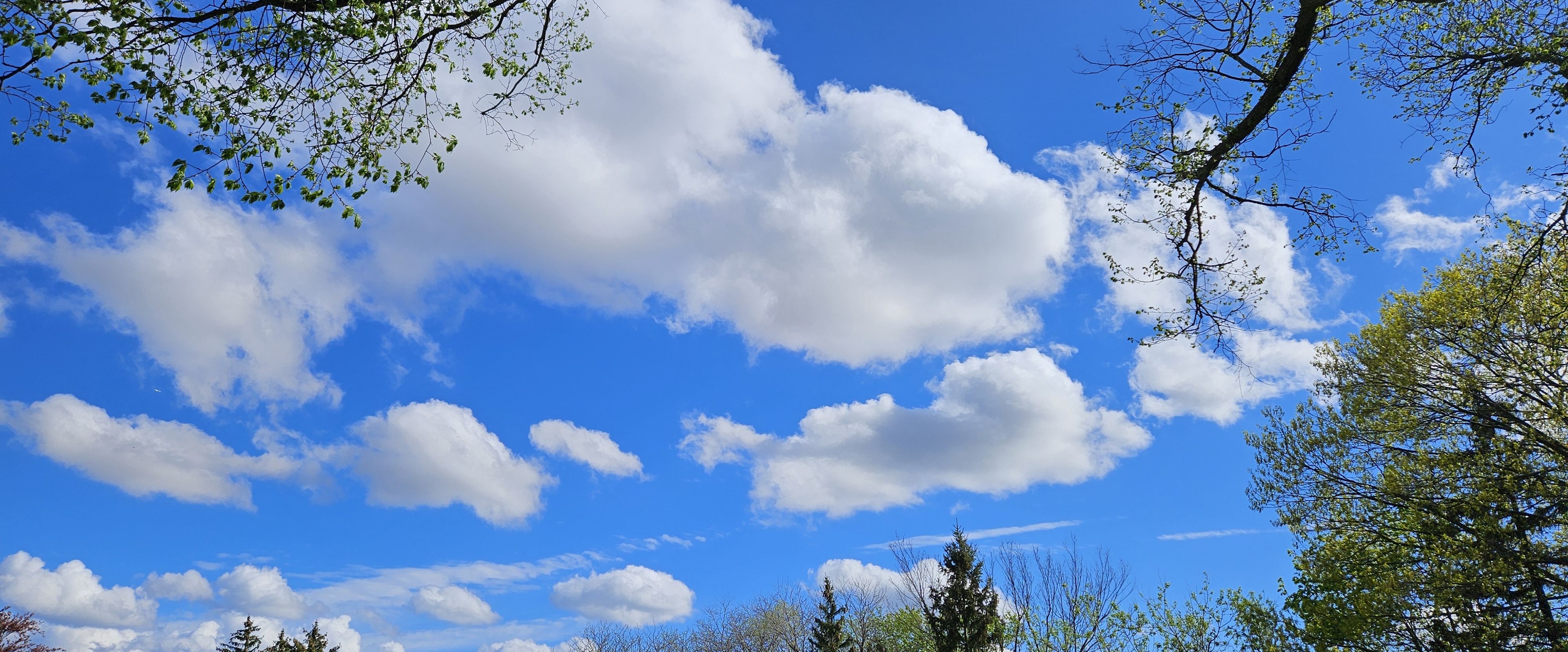 🌿SPRING VIEWS🌿 banner