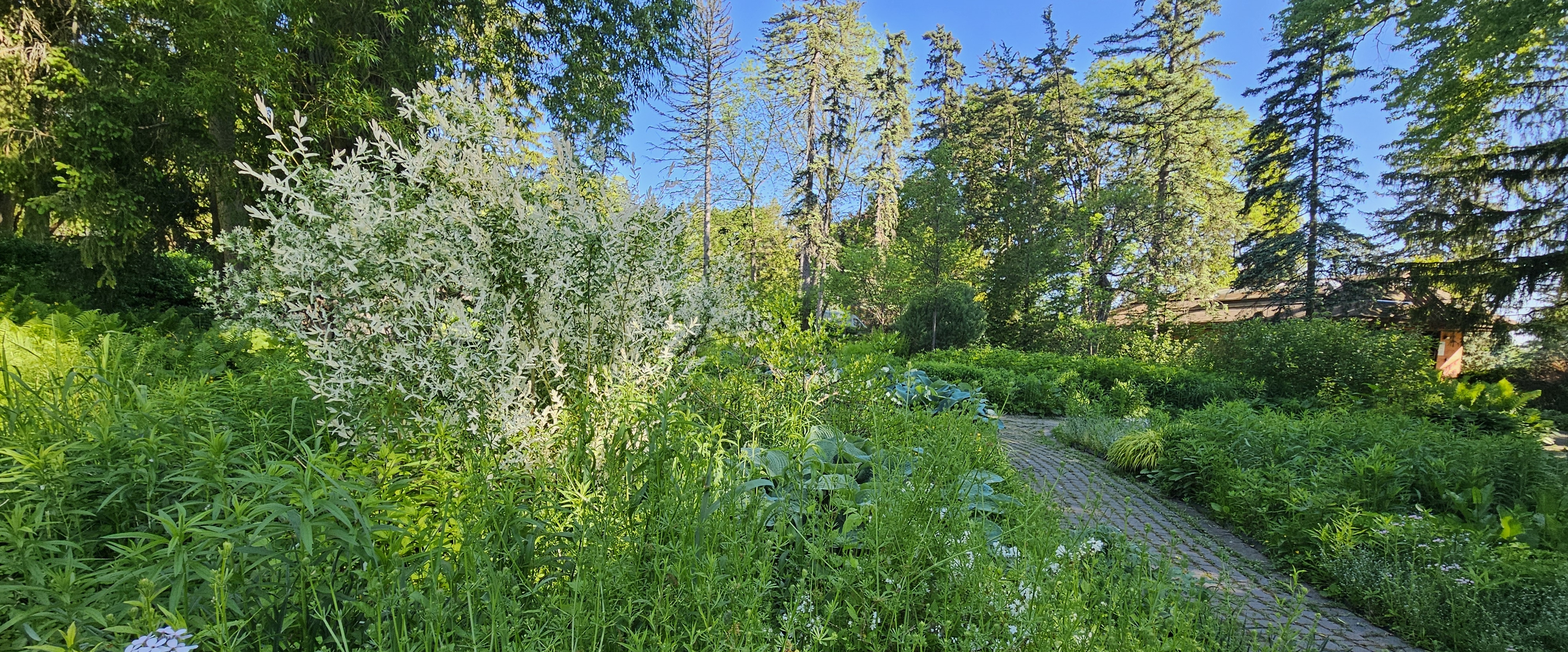 💞HEALTH IS WEALTH 💞 banner