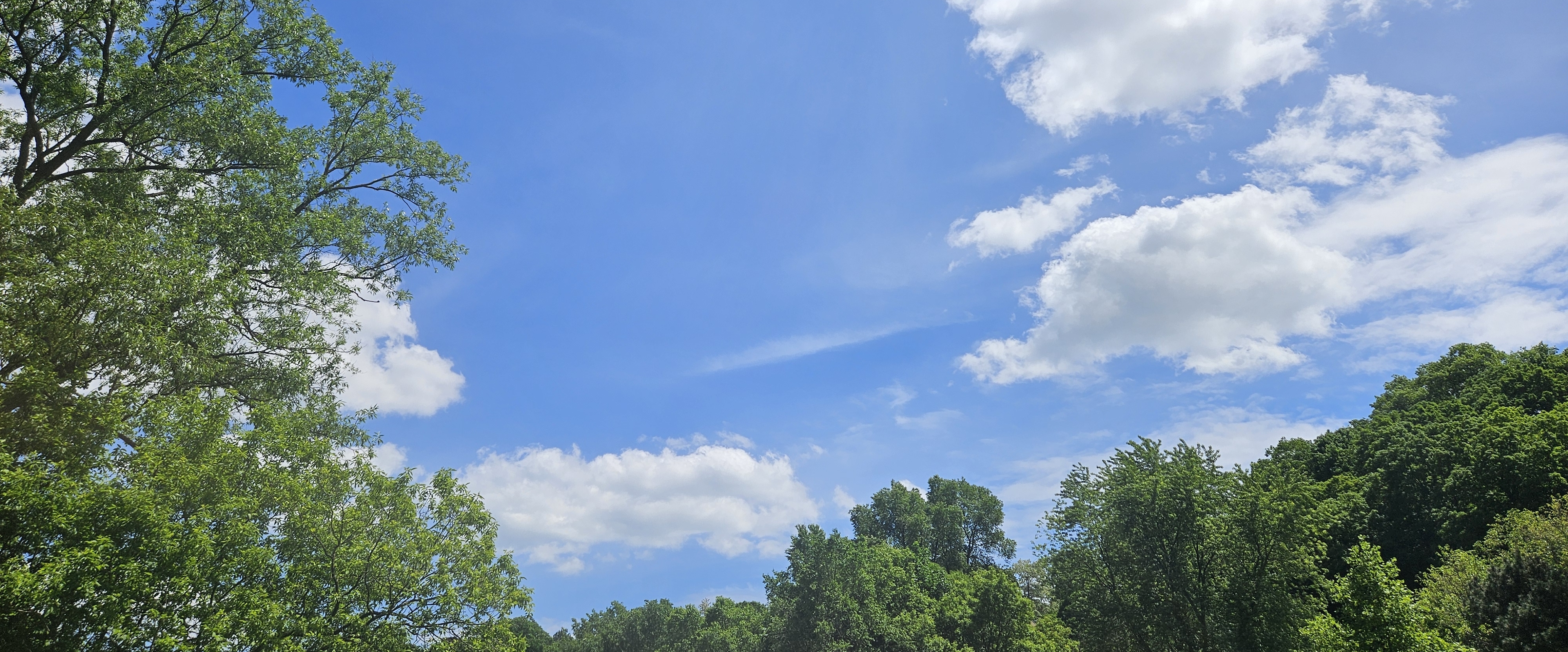 🌍JUST WALKING🌍 banner