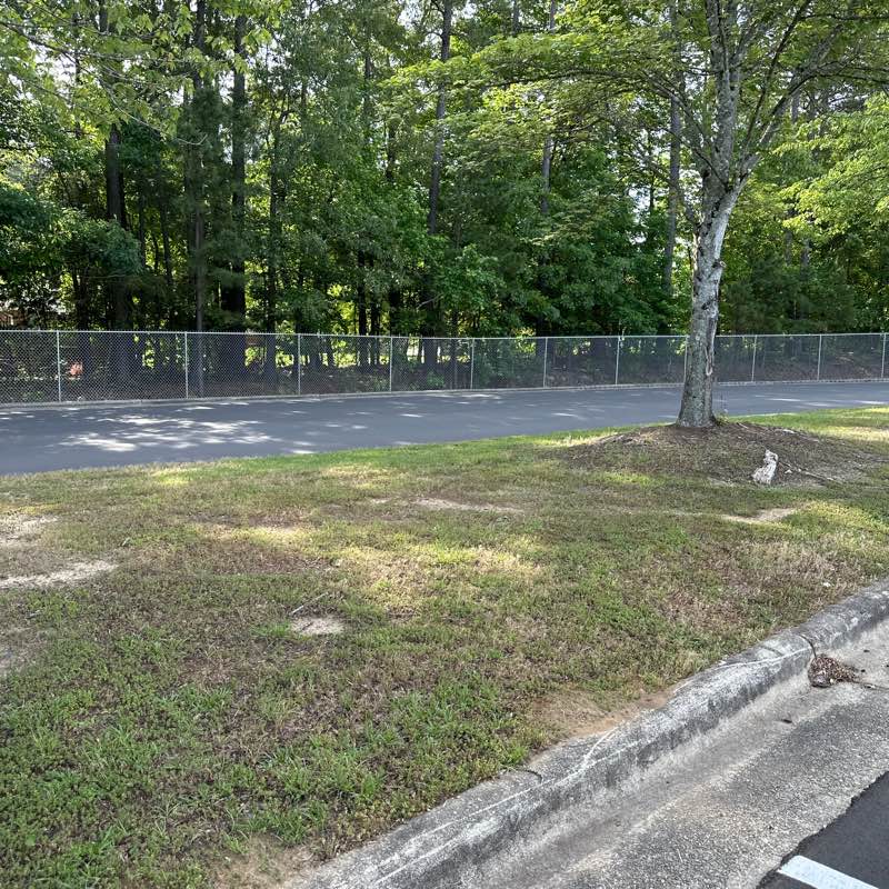 step for kids and families logo