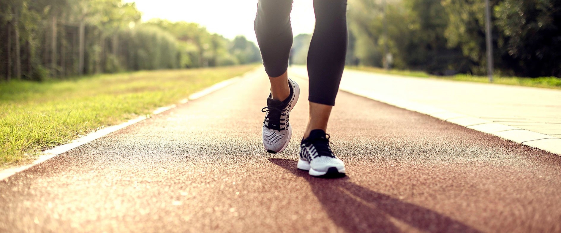 Walk-a-Holics banner