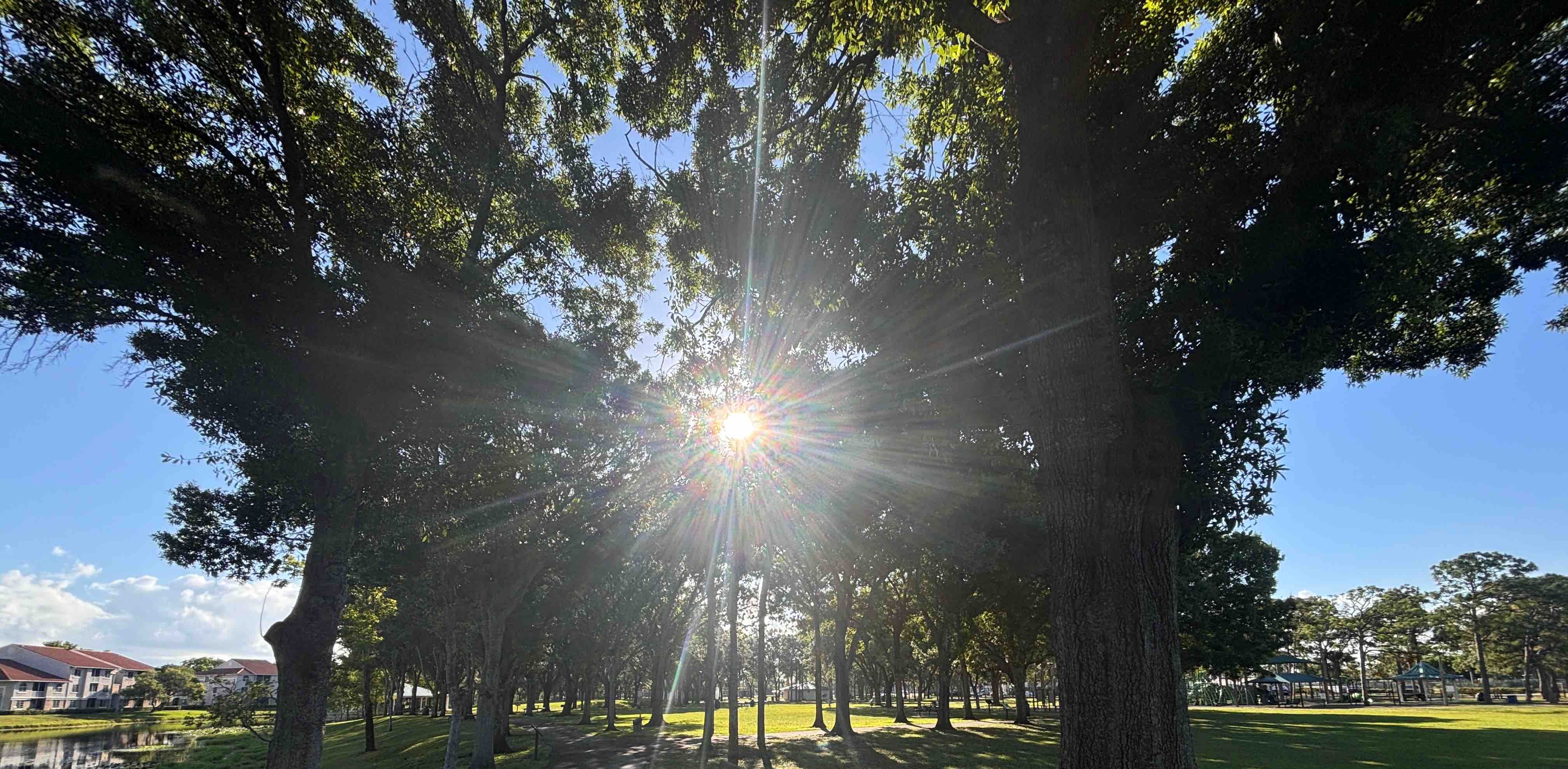 Palm Beach Walkers banner