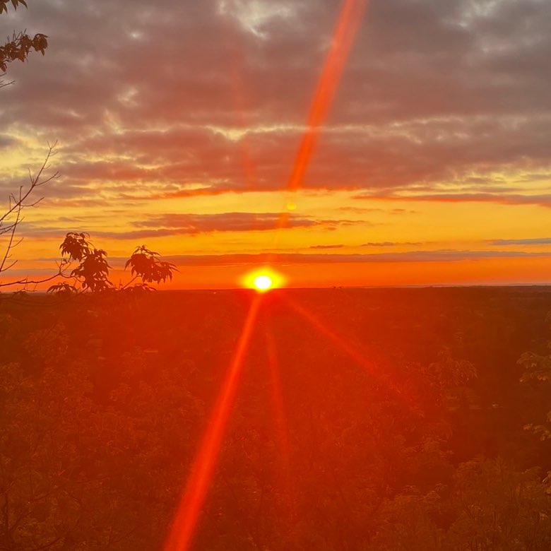 Steppin’ into Summer logo