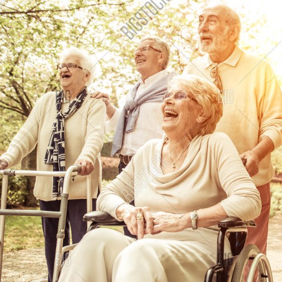 Turtles and Gayle logo