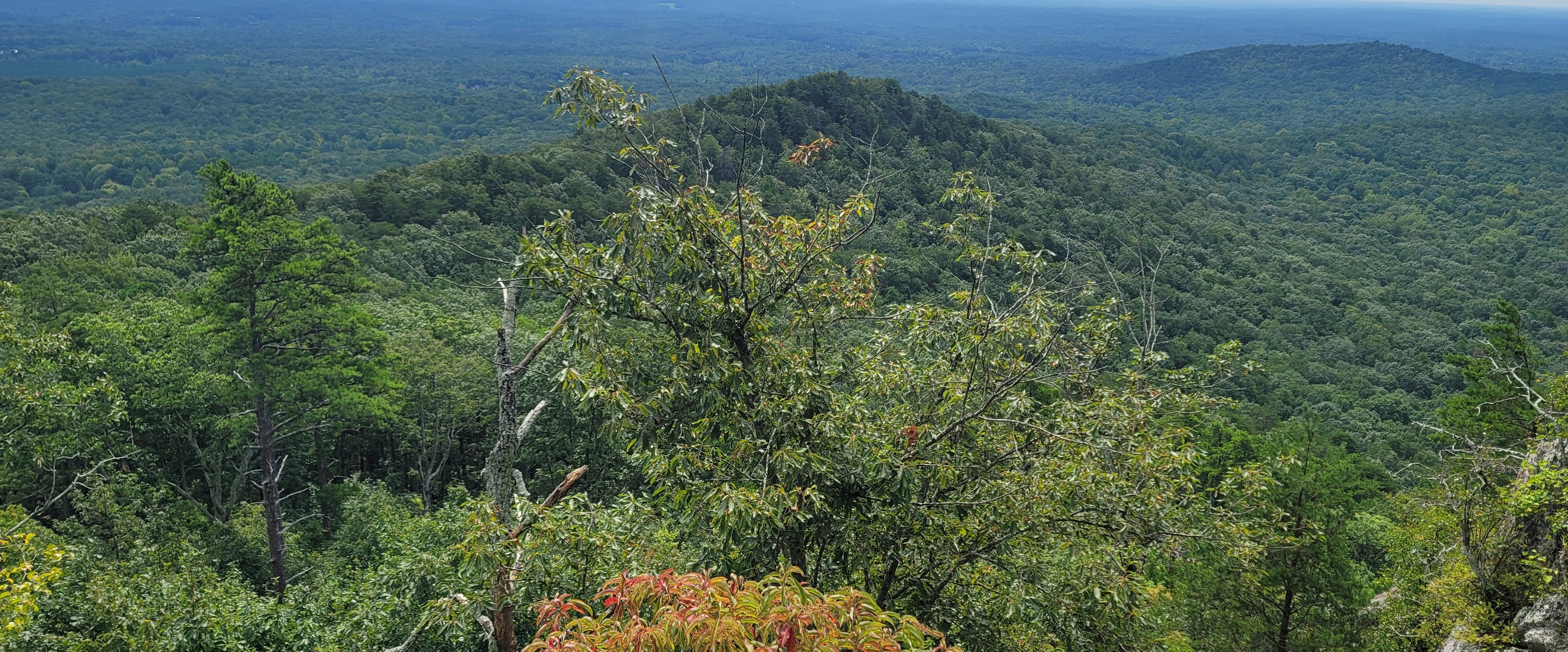 Gupta Parivaar banner