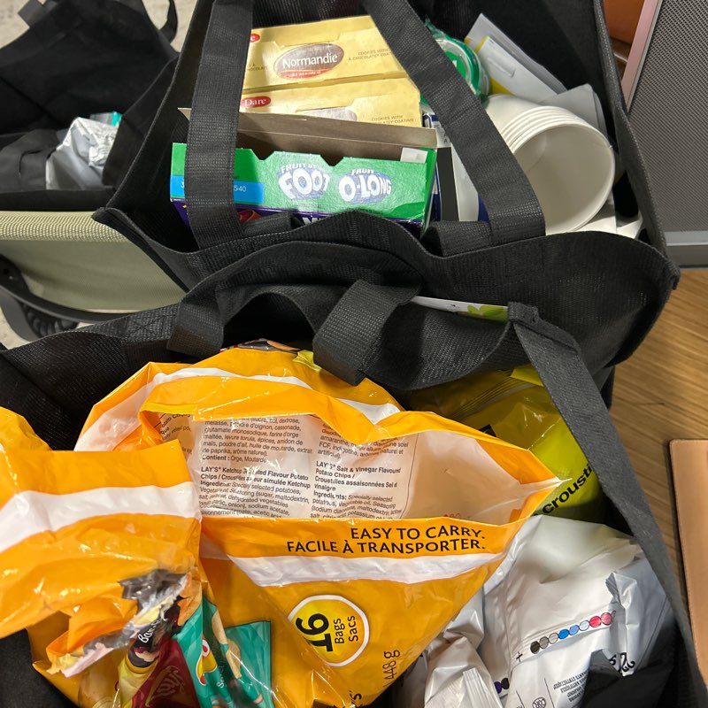 Mighty Ducks Francophones logo