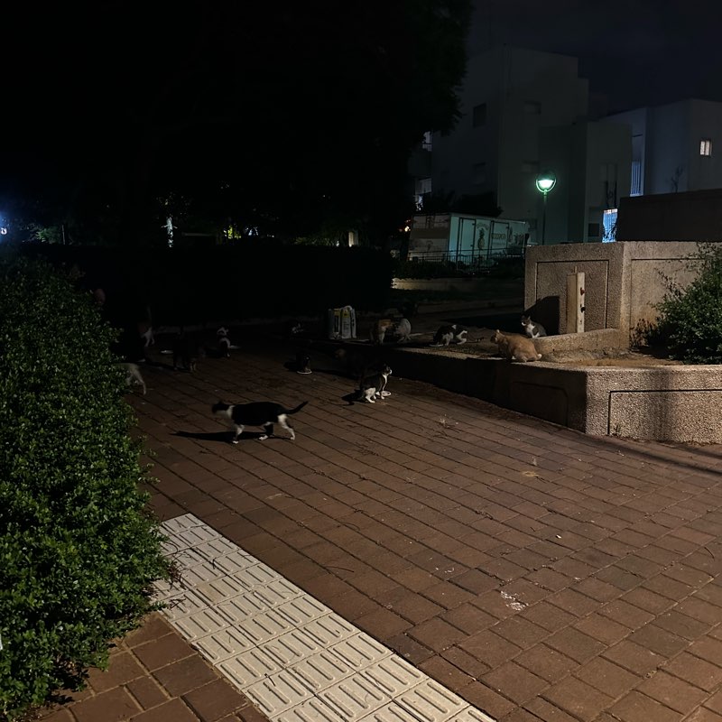 тестируем крутое logo