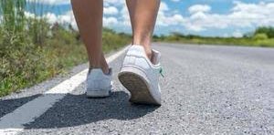 HAPPY TRAIL WALKERS banner