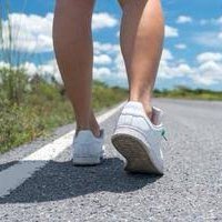 HAPPY TRAIL WALKERS logo