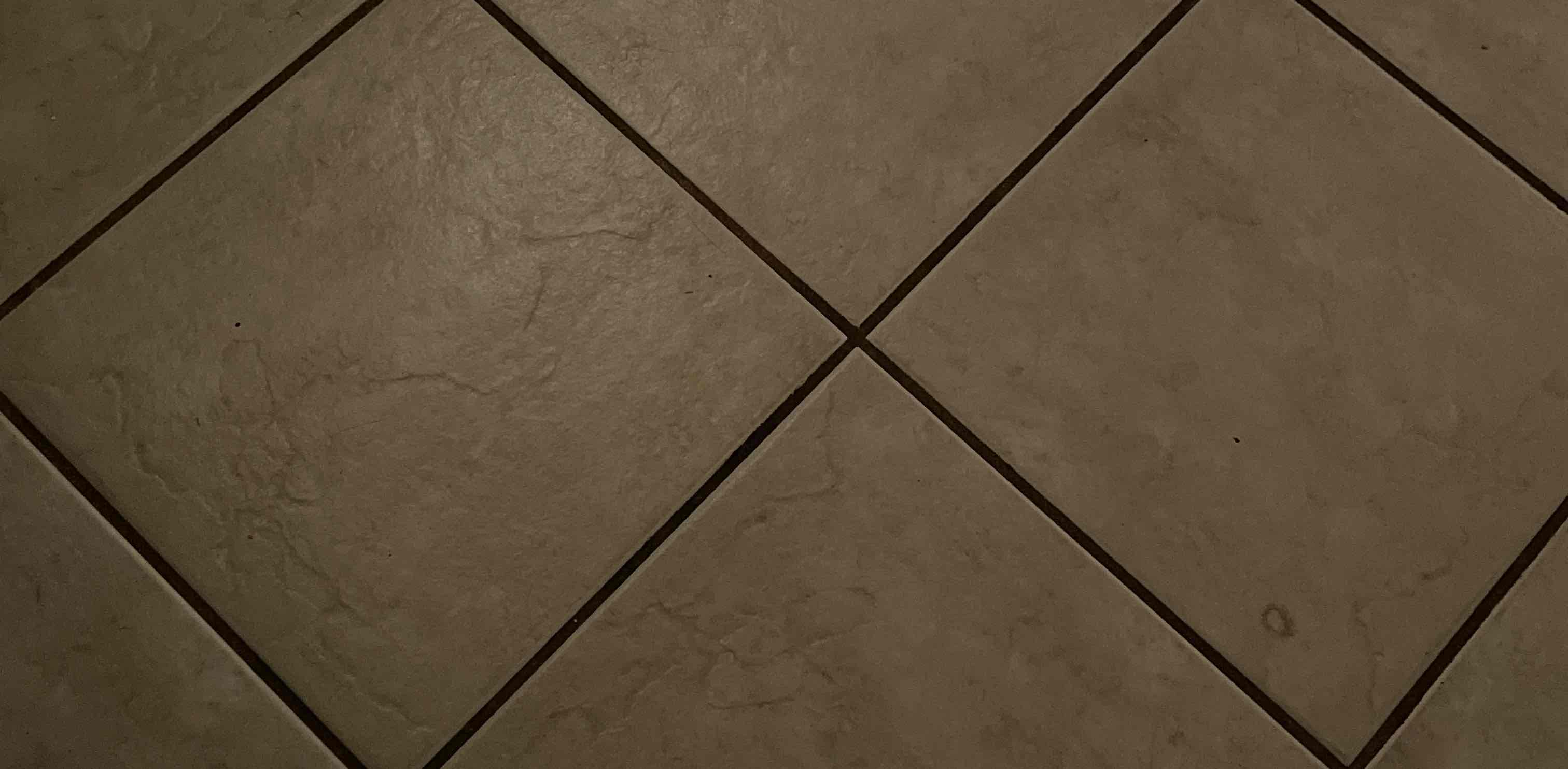 Year of the dragon banner