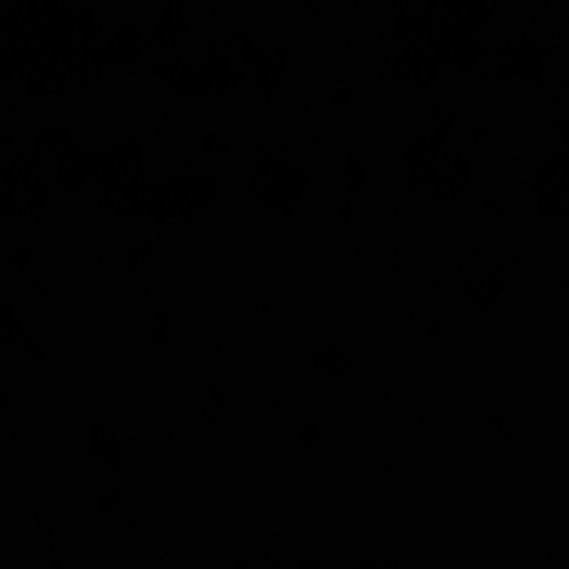 Hot Girl Walk Pt. 2 logo