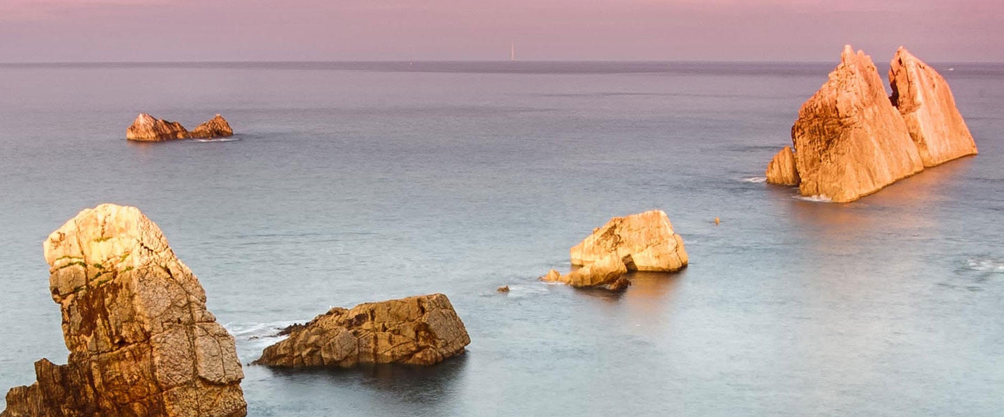 Walking Rehab banner