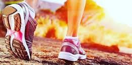 ходим - бродим !! banner