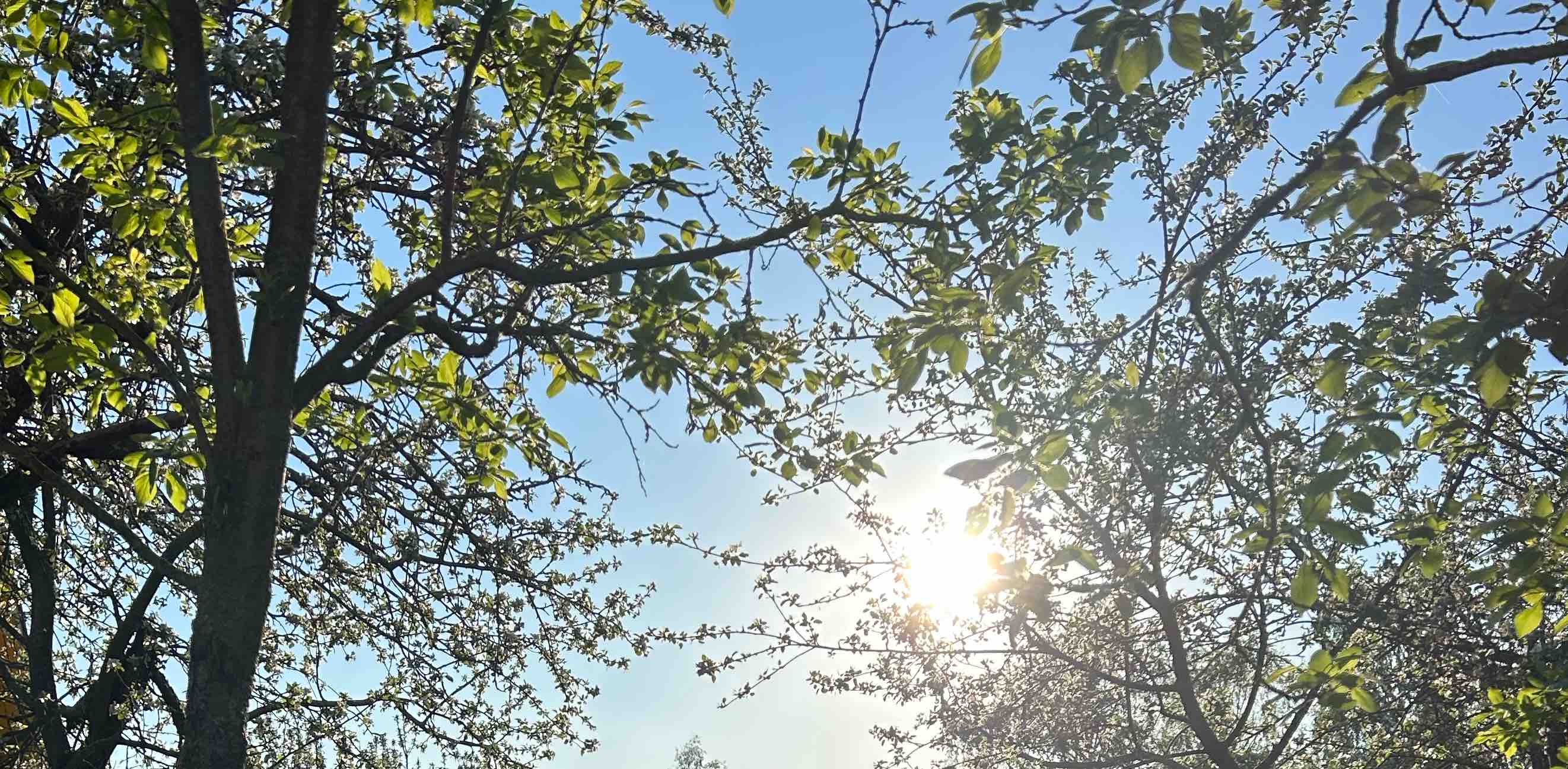 Ходьба - залог здоровья! banner