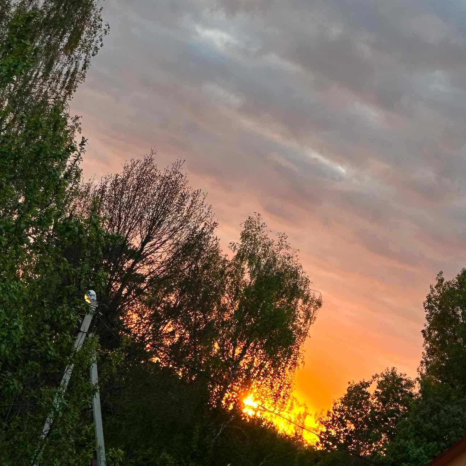 Ходьба - залог здоровья! logo