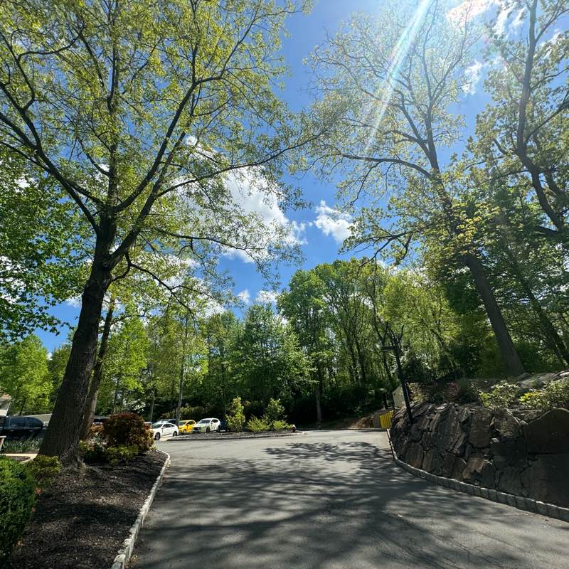 Staten Island Royal Bakery logo